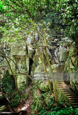 Feilai Peak Scenic Area: Ancient Stone Carvings and Stunning Hangzhou Views!