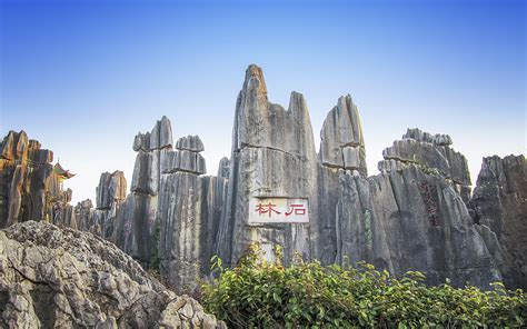 The Majestic Stone Forest Offers Breathtaking Views and Cultural Wonders!