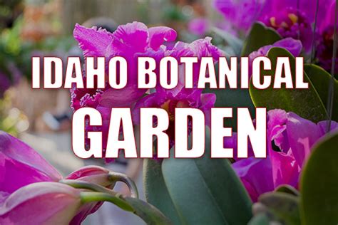 Idaho Botanical Garden -  A Serene Oasis Offering Natural Beauty and Educational Experiences!